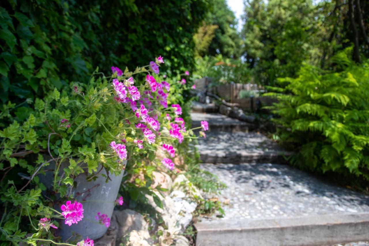 Bed and Breakfast Le Mazet De Tourrettes Exterior foto